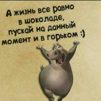 Жылдыз 