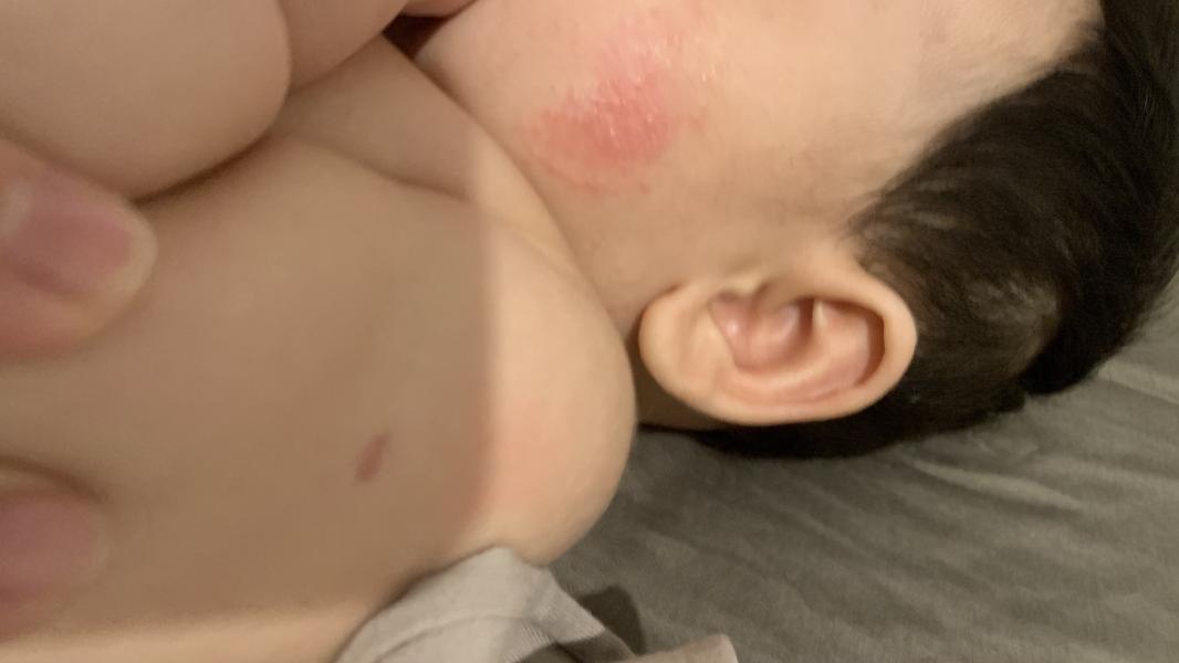 post image 5