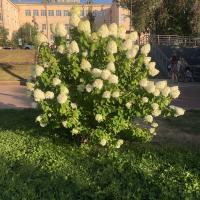 Валентина