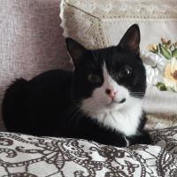 Мария Игоревна