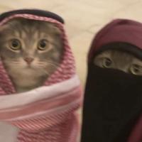 sahara