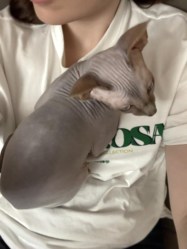 post image 1