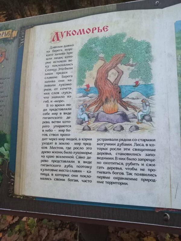post image 3
