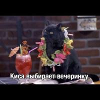 Таня