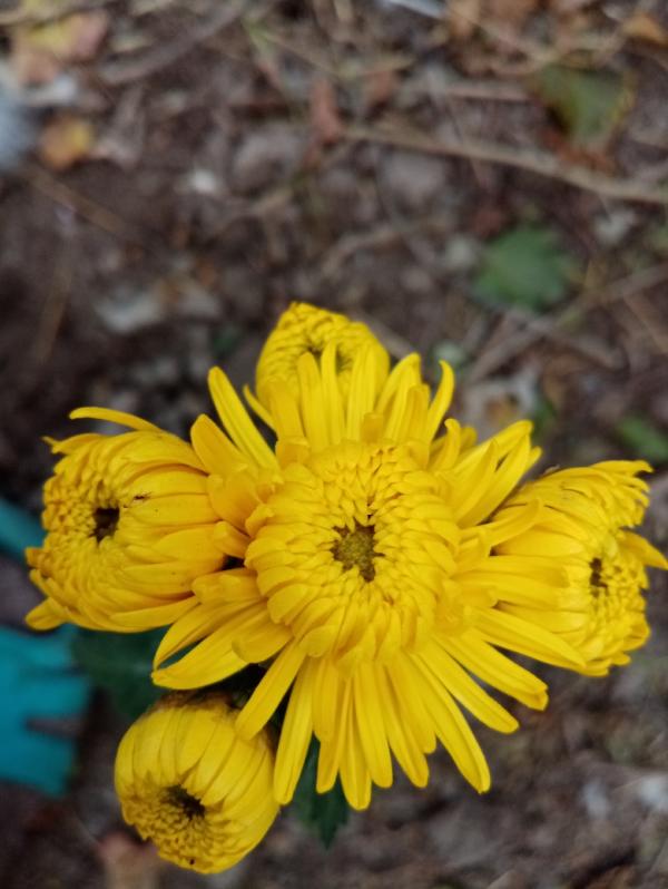 post image 4