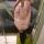 alex_petina