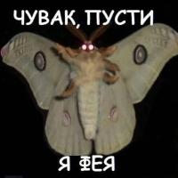 Yulia_lady_3