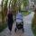 future_mam