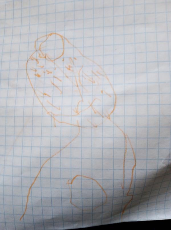 post image 3