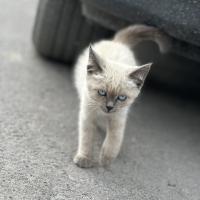 добро пожаловать 🤗