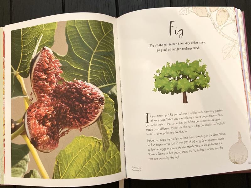 post image 5