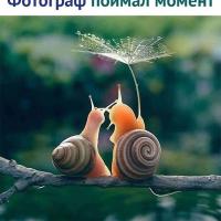 Наталья