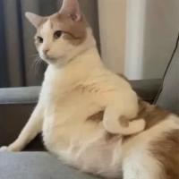⠀ ⠀ ⠀