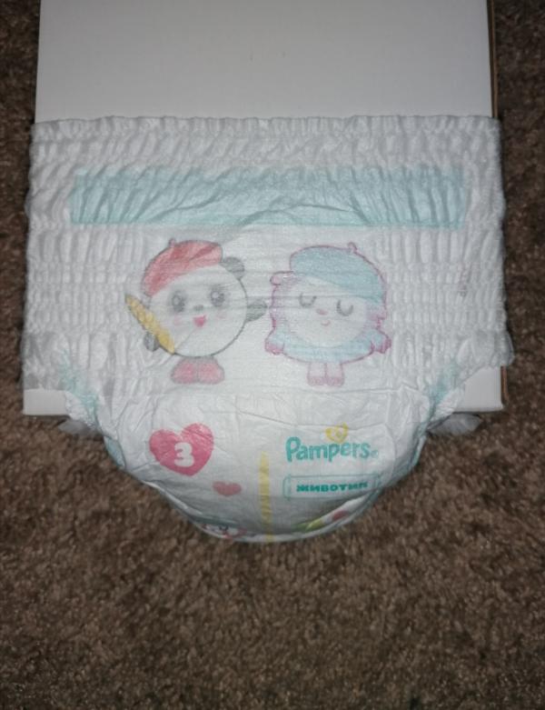 post image 4