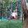 kassem