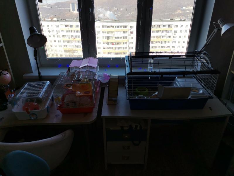 post image 5