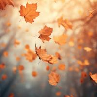 Александра