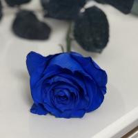 𝓅𝑒𝓉𝒾𝓂𝒶𝓉