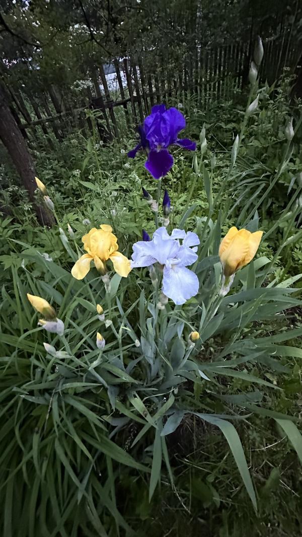 post image 3