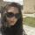 sindrella_1992