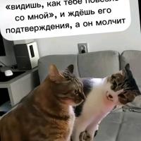 Алла 