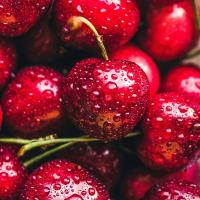 Cherry🍒