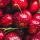 cherry_red