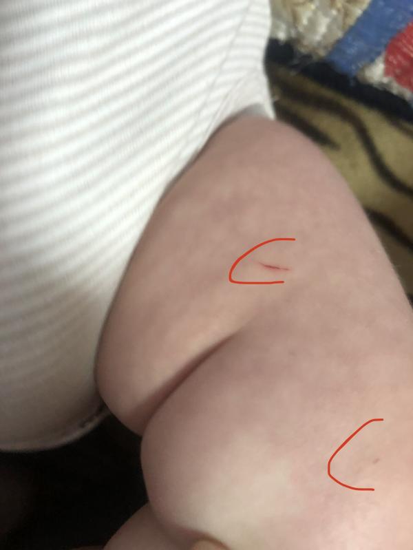 post image 4