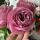 mary01022
