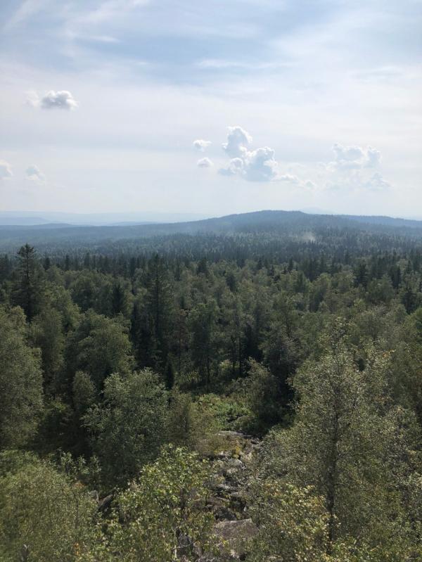 post image 5