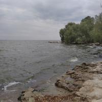 Лилия Сидорова