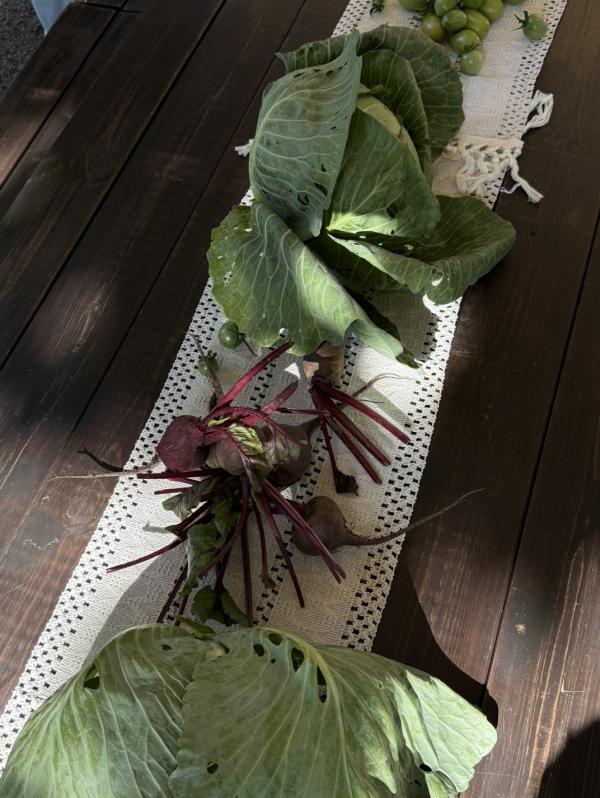 post image 5