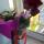 ass33fft44