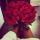 anna_step0409
