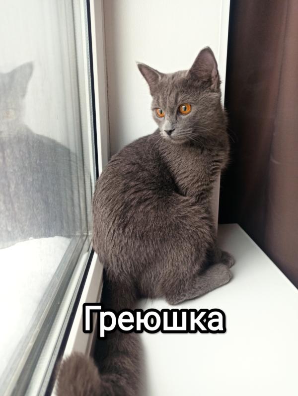 post image 1
