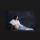 anna198c
