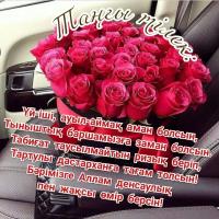 Asema