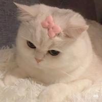 К🧸💓