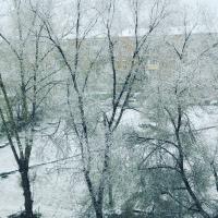 Катерина 