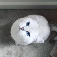 Аня