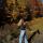lika_mir081828