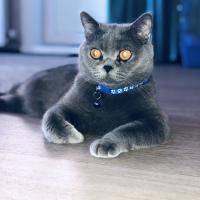 Татьяна