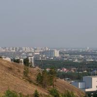 ЛМ