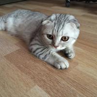 Настя