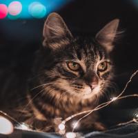Оксана