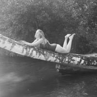 золотая рыбка