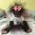 tusya858