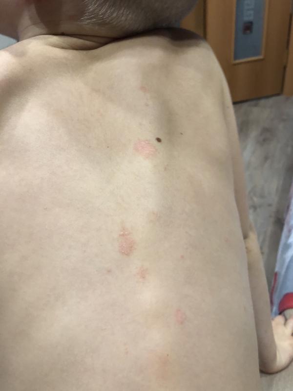 post image 4