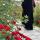 bint_yunus