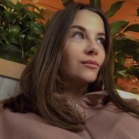 Vlada